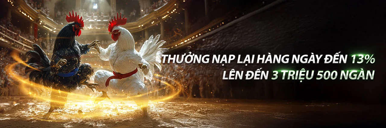 Trải nghiệm cá cược di động 09VIP